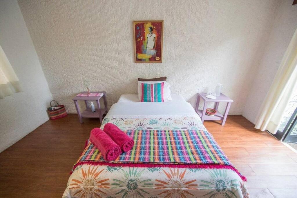 Villa Casa Ayvar. Espectacular Villa Colonial En El Corazon De Coyoacan. Mexico City Ngoại thất bức ảnh