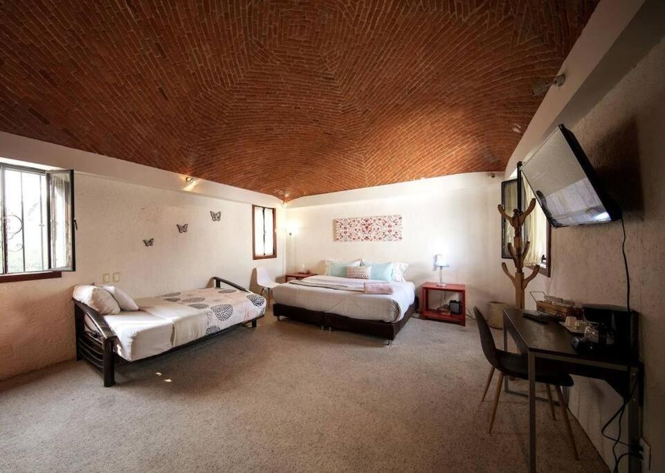 Villa Casa Ayvar. Espectacular Villa Colonial En El Corazon De Coyoacan. Mexico City Ngoại thất bức ảnh